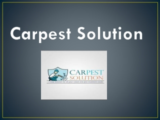 Carpet Cleaning in Brisbane