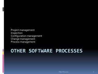 Other Software Processes