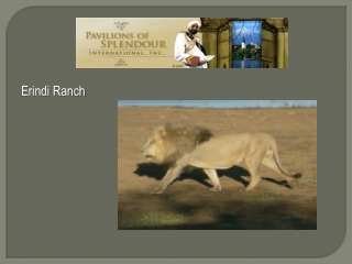 Erindi  Ranch