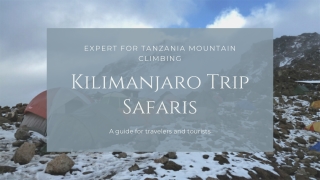 Well-organised Kilimanjaro Trekking Tours