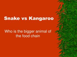 Snake vs Kangaroo