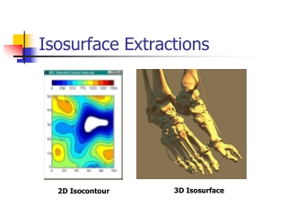 Isosurface Extractions