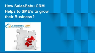 How SalesBabu CRM Helps to SME’s to grow their Business?
