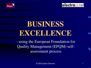BUSINESS EXCELLENCE