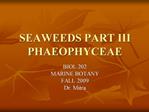 SEAWEEDS PART III PHAEOPHYCEAE