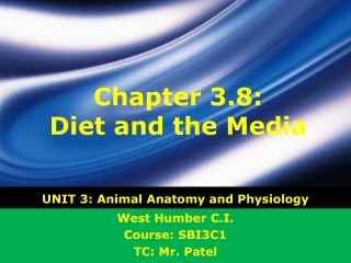 Chapter 3.8: Diet and the Media