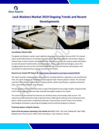 World Lock Washers Market Research Report 2024