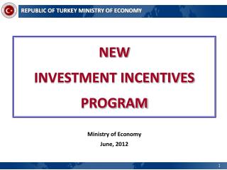 NEW INVESTMENT INCENTIVES PROGRAM