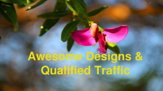 Awesome Designs & Qualified Traffic