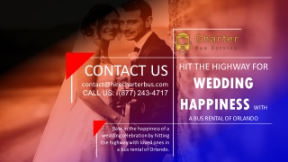 Hit the Highway for Wedding Happiness with a Party Bus Rental of Orlando