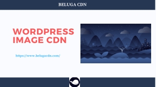 Best Image CDN for WordPress