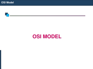 OSI Model