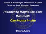 Istituto di Radiologia Universita di Udine Direttore: Prof. Massimo Bazzocchi Risonanza Magnetica della Mammella Ca