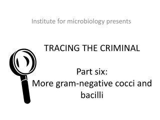 TRACING THE CRIMINAL Part six:  More gram-negative cocci and bacilli