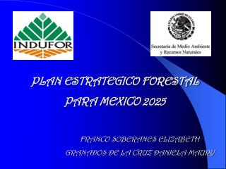 PLAN ESTRATEGICO FORESTAL PARA MEXICO 2025
