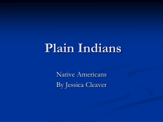 Plain Indians