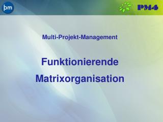 Multi- Projekt -Management Funktionierende Matrixorganisation