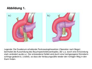 Abbildung 1.