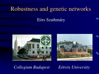 Robustness and genetic networks