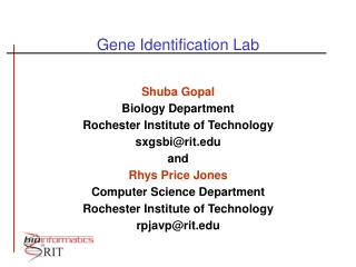 Gene Identification Lab