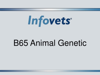B65 Animal Genetic