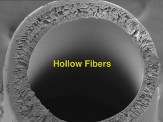Hollow Fibers