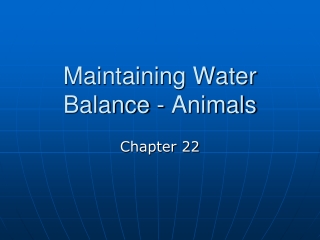 Maintaining Water Balance - Animals