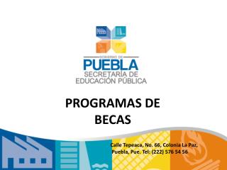 PROGRAMAS DE BECAS