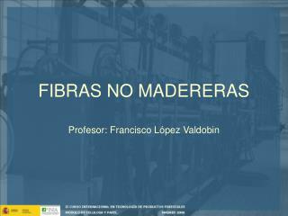 FIBRAS NO MADERERAS