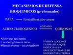 MECANISMOS DE DEFENSA