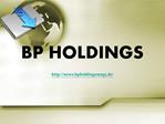 BP Holdings, Was ist "Steuerbetrug"?