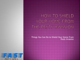 HOW TO SHIELD YOUR HOME FROM THE PESTS INVASION