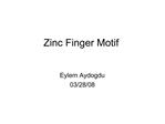 Zinc Finger Motif