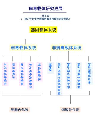 病毒载体研究进展