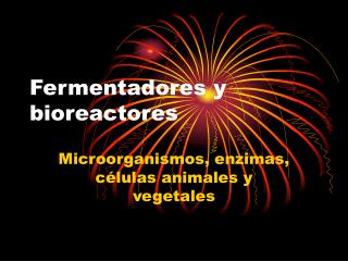 Fermentadores y bioreactores