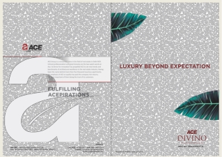 Buy Residential Apartments in Noida Extension - Ace Divino