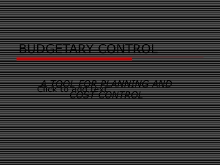 BUDGETARY CONTROL
