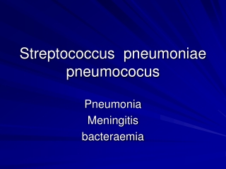Streptococcus  pneumoniae pneumococus