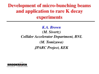 Development of micro-bunching beams and application to rare K decay experiments