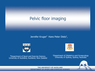 Pelvic floor imaging