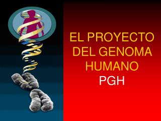 EL PROYECTO DEL GENOMA HUMANO PGH