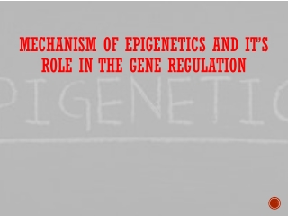 Mechanism of Epigenetics and it’s Role in the Gene Regulation