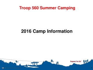 Troop 560 Summer Camping