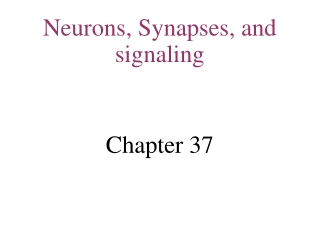 Neurons, Synapses, and signaling Chapter 37