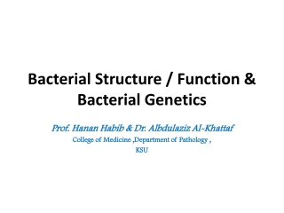 Bacterial Structure / Function & Bacterial Genetics