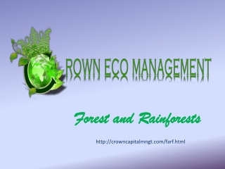 Crown Capital Eco Management Jakarta Indonesia: Forest and