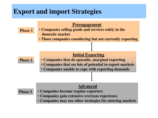 Preengagement  Companies selling goods and services solely in the    domestic market