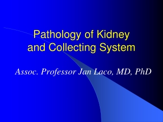 Pathology of Kidney  and Collecting System