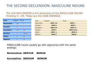 THE SECOND DECLENSION: MASCULINE NOUNS