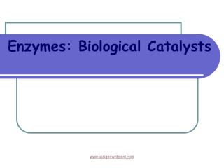 Enzymes: Biological Catalysts